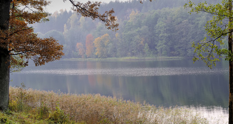 Similar image 5536354