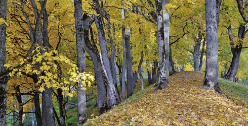 Similar image 5536357