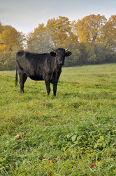 Similar image 5536358