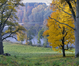 Similar image 5536363