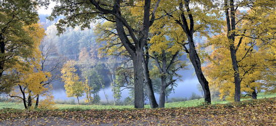 Similar image 5536365