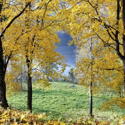 Similar image 5536367