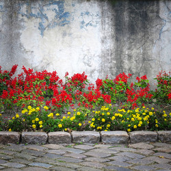 Similar image 5536420