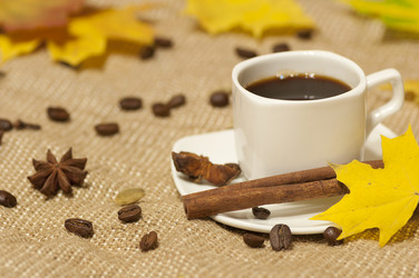 Similar image 5536479