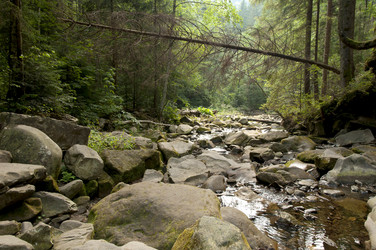 Similar image 5536492