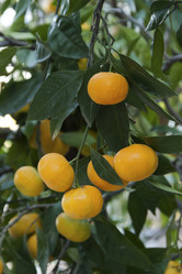 Similar image 5536493