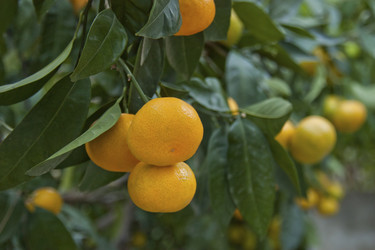 Similar image 5536494