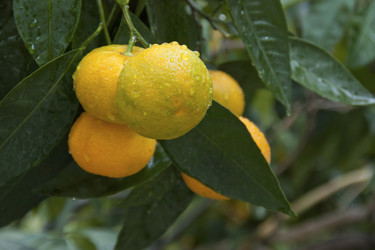 Similar image 5536495