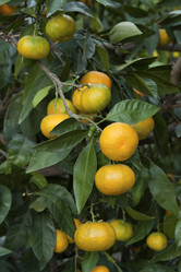 Similar image 5536497