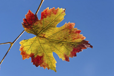 Similar image 5536500