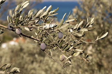 Similar image 5536502