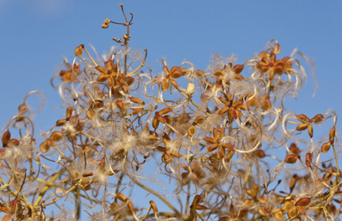 Similar image 5536503