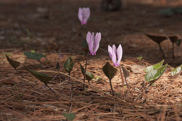 Similar image 5536504