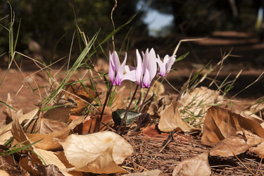 Similar image 5536506