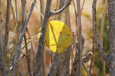 Similar image 5536507