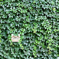 Similar image 5536512