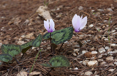 Similar image 5536520