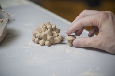 Similar image 5536587