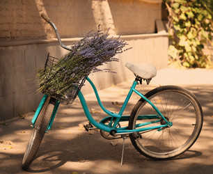 Similar image 5536607