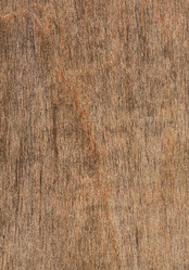 Similar image 5536655