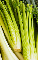 Similar image 5536683