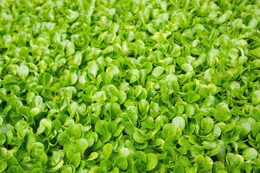 Similar image 5536684