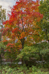 Similar image 5536698