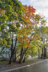 Similar image 5536699