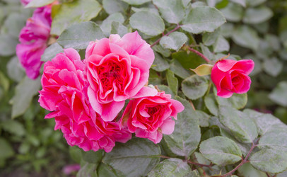 Similar image 5536704