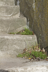 Similar image 5536719