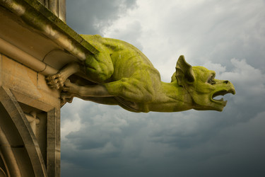 Similar image 5536731