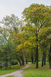 Similar image 5536740