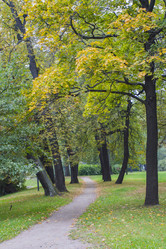 Similar image 5536745