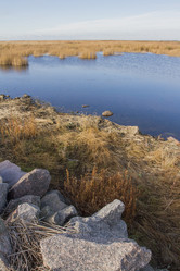 Similar image 5536773