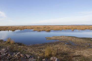 Similar image 5536774