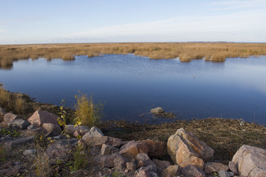 Similar image 5536775