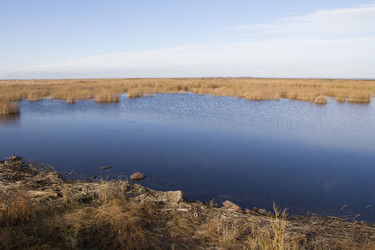 Similar image 5536776