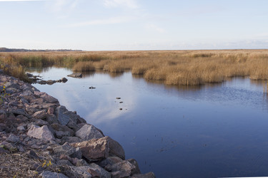 Similar image 5536777