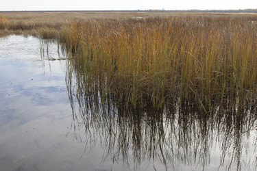 Similar image 5536780