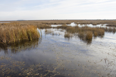 Similar image 5536781