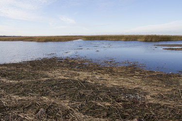 Similar image 5536782