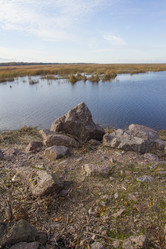 Similar image 5536783