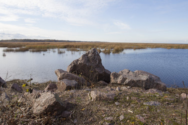 Similar image 5536784