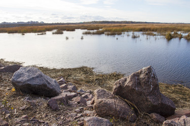 Similar image 5536785