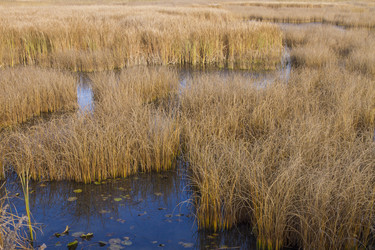 Similar image 5536787