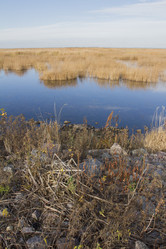 Similar image 5536800