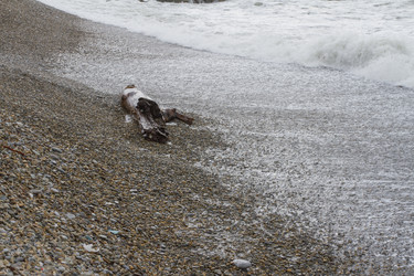 Similar image 5536803