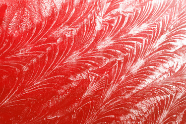 Similar image 5536974