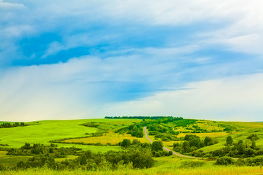 Similar image 5536990