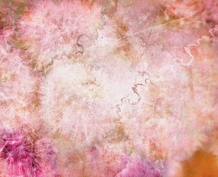 Similar image 5536991